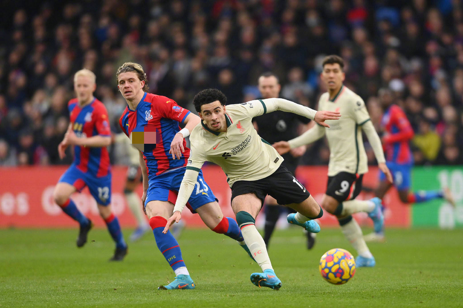 球队阵容的 球队阵容的